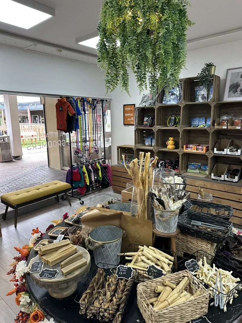 Bramhall Dog Groomers in Bramhall