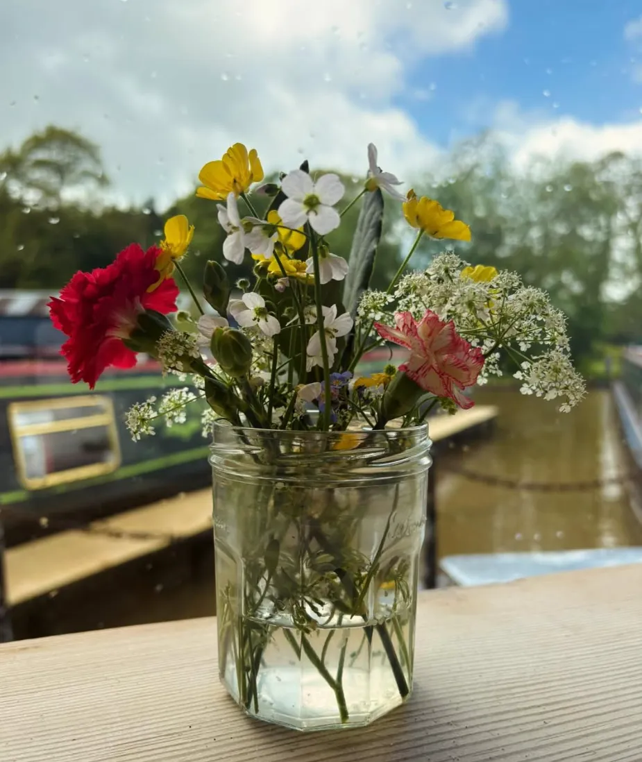 Chamomile Cafe