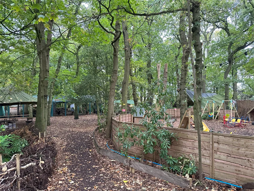 Into the Wild Bushcraft in Altrincham