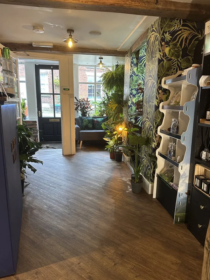 OH SHOOT! PLANTS in Congleton