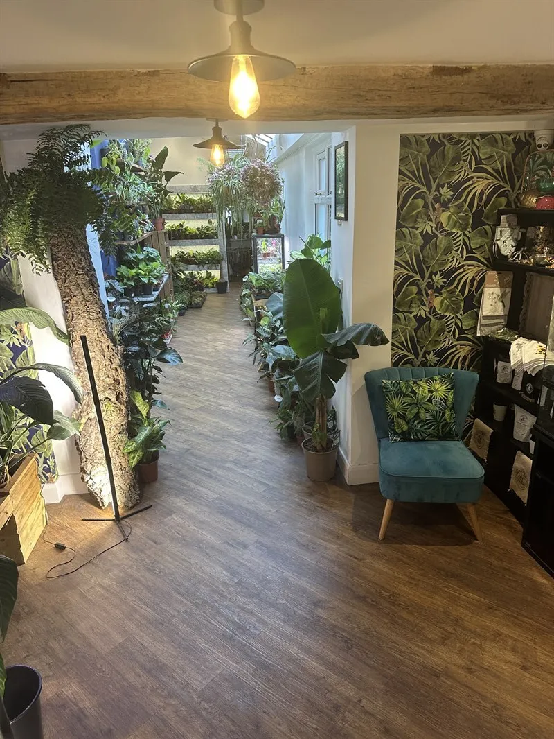 OH SHOOT! PLANTS in Congleton