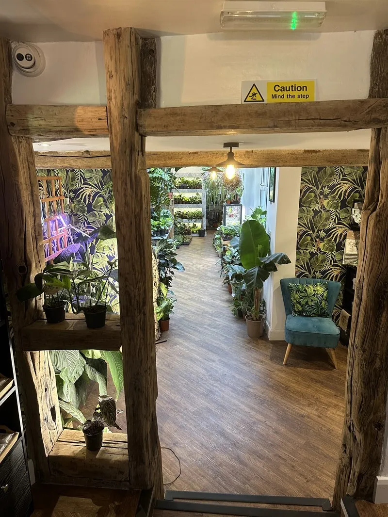 OH SHOOT! PLANTS in Congleton