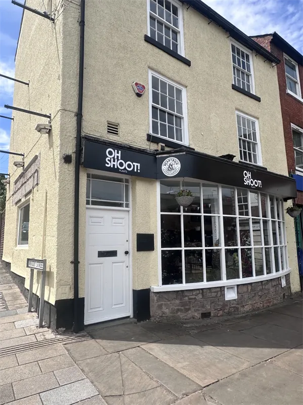 OH SHOOT! PLANTS in Congleton