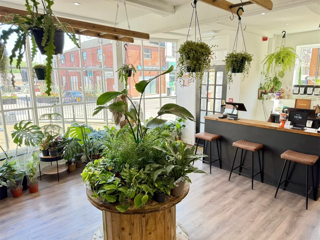 OH SHOOT! PLANTS in Congleton