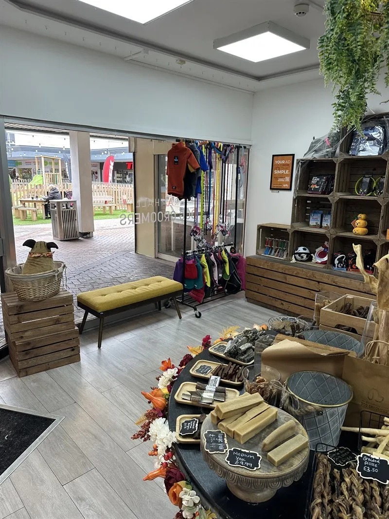 Paws, Style, and Shine — Where Your Ad Gets a Pedigree Spot