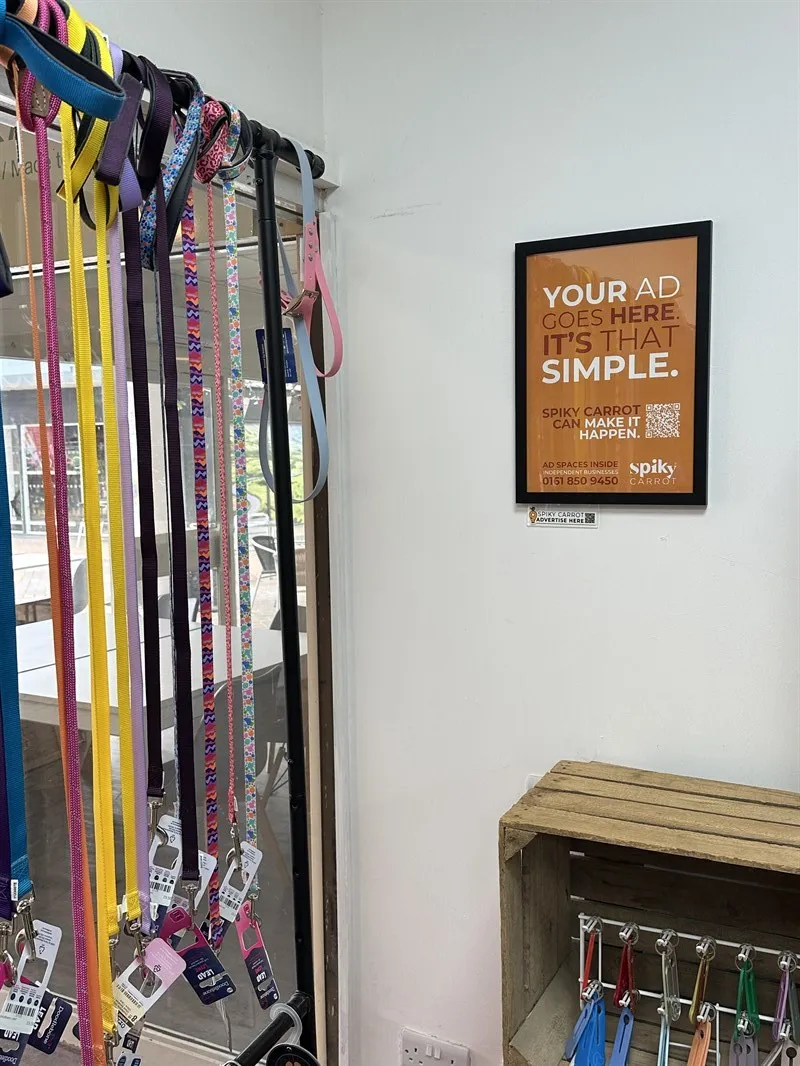 Paws, Style, and Shine — Where Your Ad Gets a Pedigree Spot ad space on Spiky Carrot