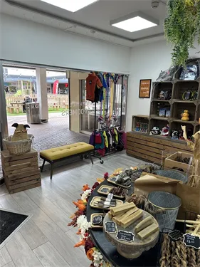 Paws, Style, and Shine — Where Your Ad Gets a Pedigree Spot